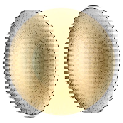 Show details for TAC SKIN GOLD Plate Picture of TAC SKIN GOLD Plate