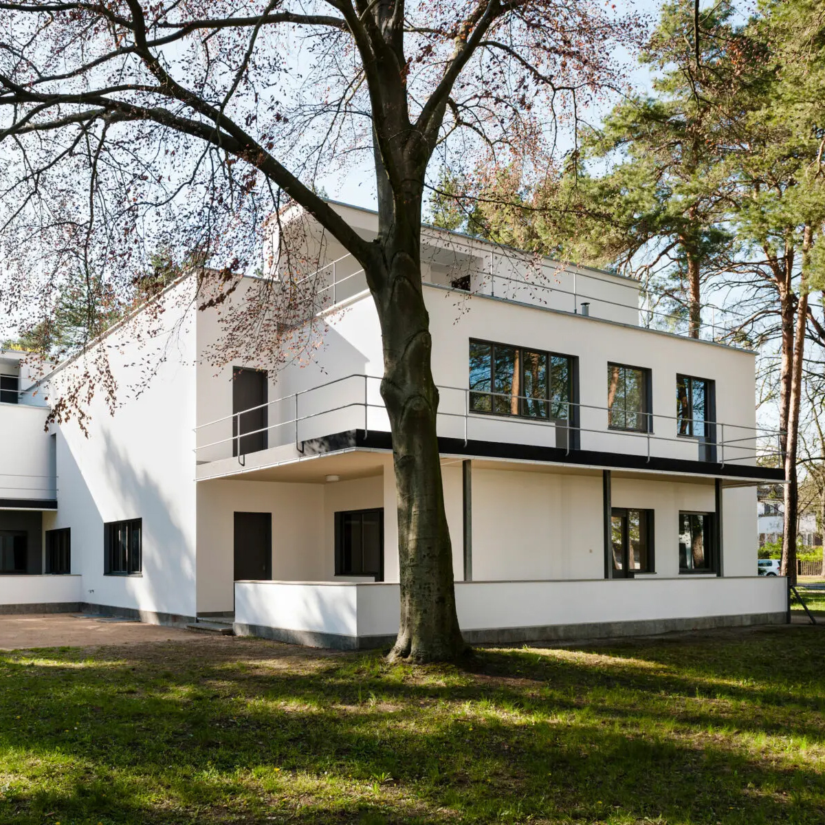 Experience the Origins of Bauhaus की तस्वीर