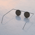 Picture of Sunglass INSEKT